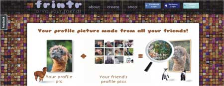mosaico fotos rede sociais